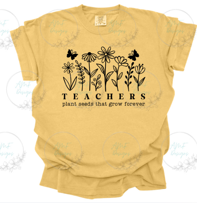 Teachers Plant seeds