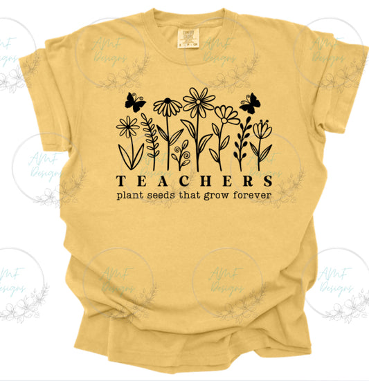 Teachers Plant seeds